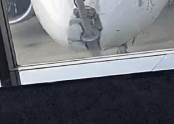 IndiGo aircraft collides with a pole in Srinagar.