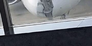 IndiGo aircraft collides with a pole in Srinagar.
