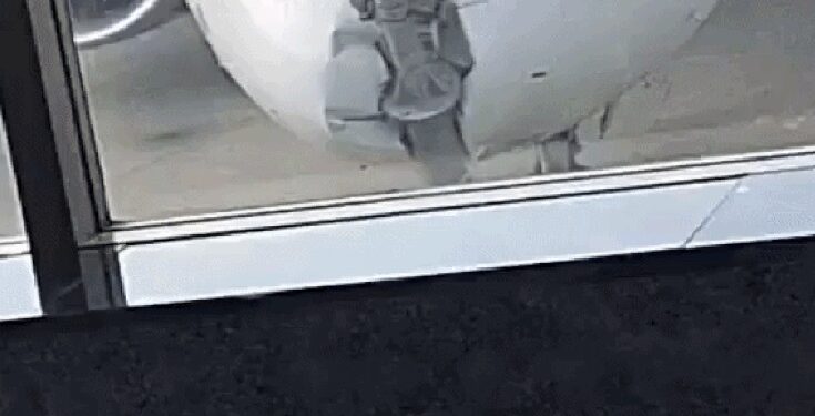IndiGo aircraft collides with a pole in Srinagar.