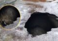 road caves in near IT Crossing.