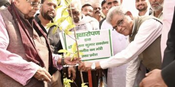 The Yogi government has planted over 242 crore saplings in nine years.